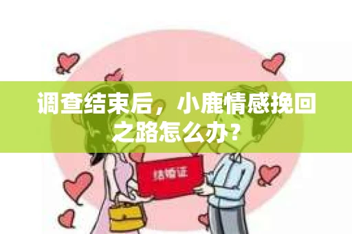 调查结束后，小鹿情感挽回之路怎么办？