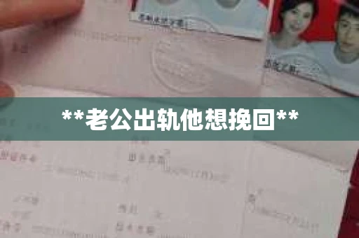 **老公出轨他想挽回**