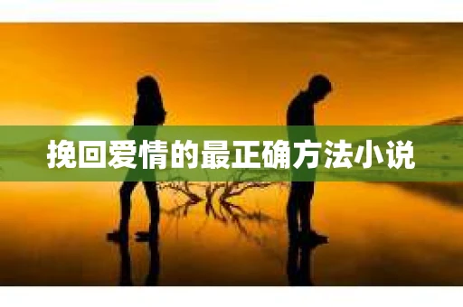 挽回爱情的最正确方法小说