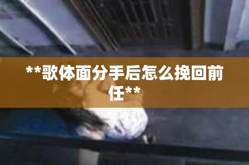**歌体面分手后怎么挽回前任**