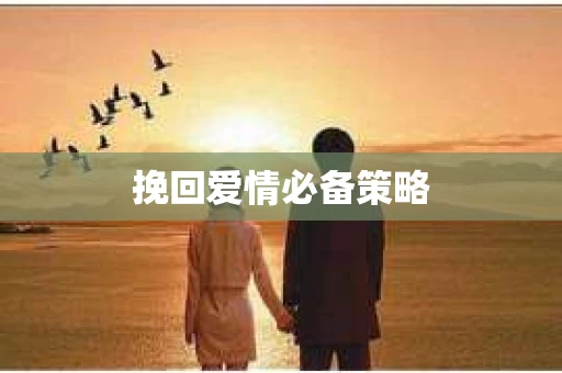挽回爱情必备策略