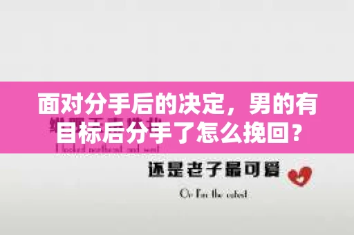 面对分手后的决定，男的有目标后分手了怎么挽回？