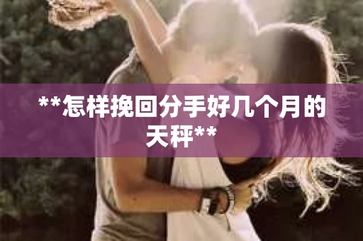 **怎样挽回分手好几个月的天秤**