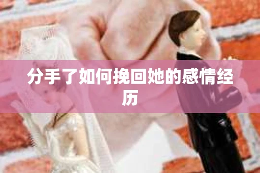 分手了如何挽回她的感情经历