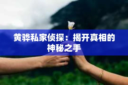 黄骅私家侦探：揭开真相的神秘之手