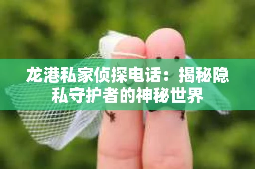 龙港私家侦探电话：揭秘隐私守护者的神秘世界