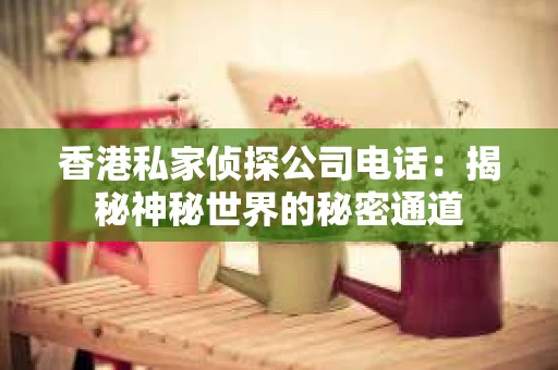 香港私家侦探公司电话：揭秘神秘世界的秘密通道