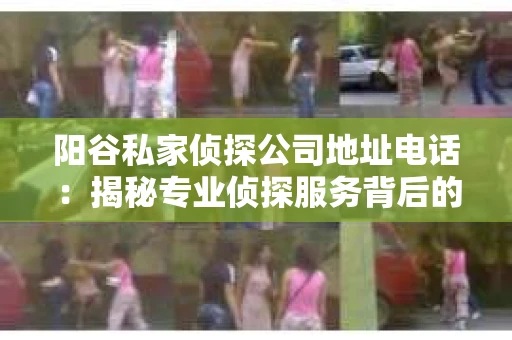 阳谷私家侦探公司地址电话：揭秘专业侦探服务背后的故事