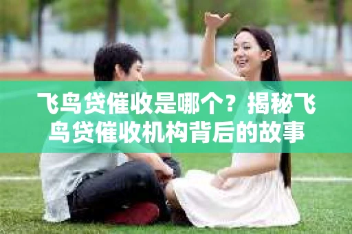 飞鸟贷催收是哪个？揭秘飞鸟贷催收机构背后的故事