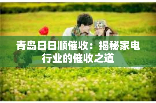 青岛日日顺催收：揭秘家电行业的催收之道