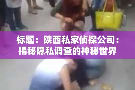标题：陕西私家侦探公司：揭秘隐私调查的神秘世界