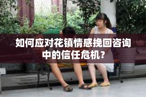 如何应对花镇情感挽回咨询中的信任危机？