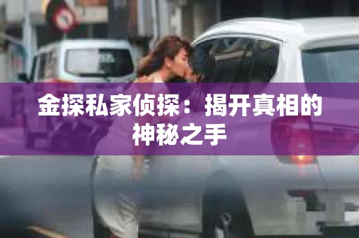 金探私家侦探：揭开真相的神秘之手