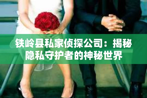 铁岭县私家侦探公司：揭秘隐私守护者的神秘世界