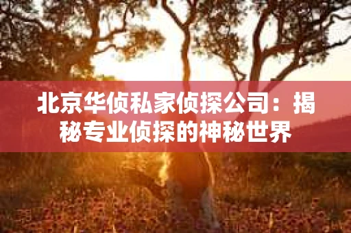 北京华侦私家侦探公司：揭秘专业侦探的神秘世界