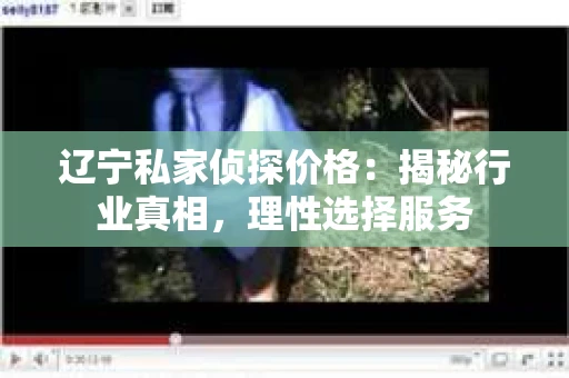 辽宁私家侦探价格：揭秘行业真相，理性选择服务
