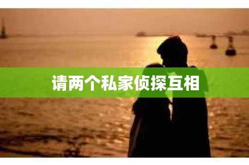 请两个私家侦探互相