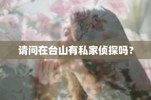 请问在台山有私家侦探吗？