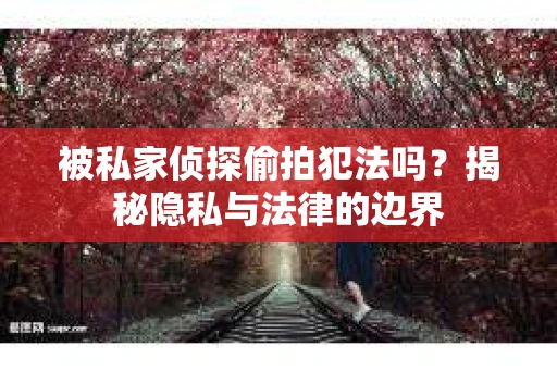 被私家侦探偷拍犯法吗？揭秘隐私与法律的边界