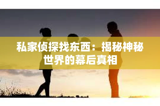 私家侦探找东西：揭秘神秘世界的幕后真相