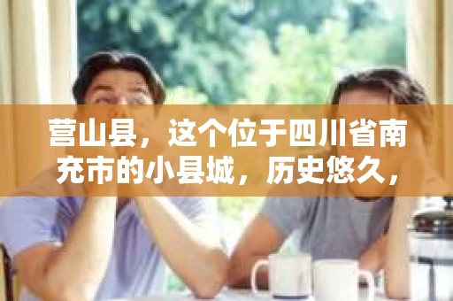 营山县，这个位于四川省南充市的小县城，历史悠久，风景秀丽。但在这个宁静的小县城里，你是否会好奇，有没有私家侦探的存在呢？今天，我就来和大家聊聊这个话题。