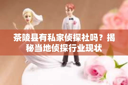 茶陵县有私家侦探社吗？揭秘当地侦探行业现状