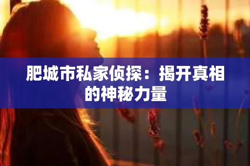肥城市私家侦探：揭开真相的神秘力量