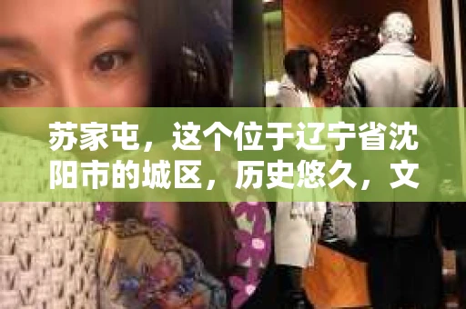 苏家屯，这个位于辽宁省沈阳市的城区，历史悠久，文化底蕴深厚。近年来，随着社会的发展，人们对于私家侦探的需求也逐渐增加。那么，苏家屯有私家侦探吗？今天，我们就来聊聊这个话题。