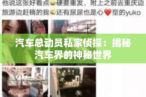 汽车总动员私家侦探：揭秘汽车界的神秘世界