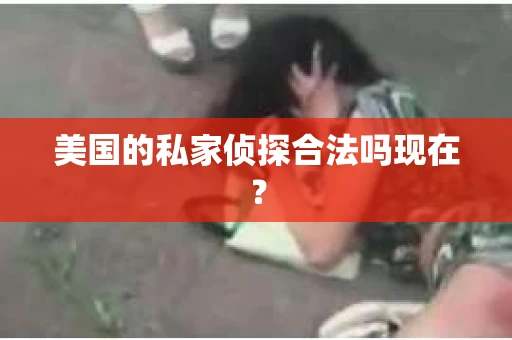 美国的私家侦探合法吗现在？