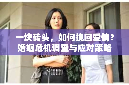 一块砖头，如何挽回爱情？婚姻危机调查与应对策略